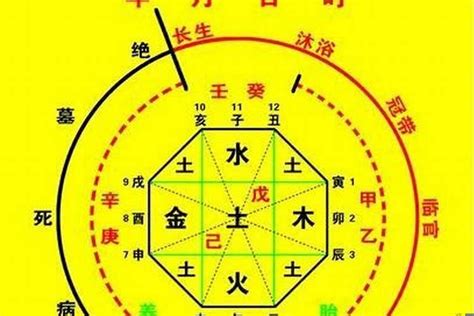 時辰八字計算器|生辰八字算命、五行喜用神查詢（免費測算）